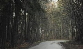 Klaipėda: VE.lt pristato gruodžio 8-osios įvykius