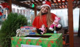 Palangoje prasidėjo šventinis festivalis