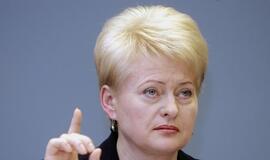 Dalia Grybauskaitė: valstybė privalo užtikrinti autorinių teisių apsaugą