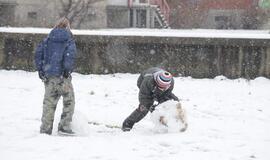 Klaipėdos pirmadienis, sausio 23-oji