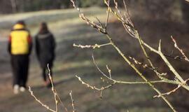 Sausio 4-oji: vardadieniai, dangaus kūnai, istorija