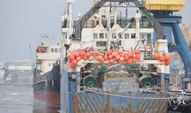 Klaipėda: VE.lt pristato vasario 10-osios įvykius