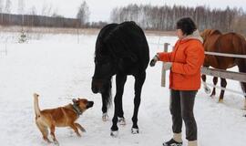 Klaipėda: VE.lt pristato vasario 22-osios įvykius