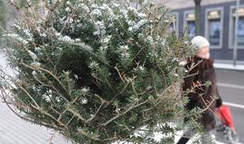 Klaipėda: VE.lt pristato vasario 8-osios įvykius