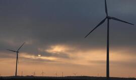 Klaipėdos rajonas: vėjo jėgainės - tabu