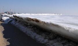 Kuršių marių atiduoti Neringai neskubama