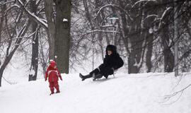 Orai truputį atšils, kils pūgos