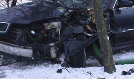 Neblaivaus vairuotojo "Audi" keitė gatvių apšvietimą