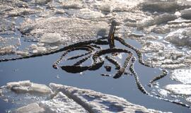 Uoste ties krantine nuskendo žemsiurbė