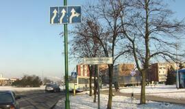 Vilkikas vos neapvertė maršrutinio mikroautobuso