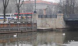 Klaipėda: VE.lt pristato kovo 12-osios įvykius