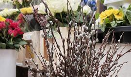 Klaipėda: VE.lt pristato kovo 19-osios įvykius