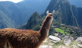 Peru: aukso ir kraujo imperija