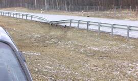 Iš paskaitų skubėjo namo, bet užklupo liūtis