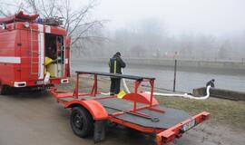 Danės upėje -  naftos dėmės