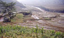 Vietnamiečiai neturi laiko pietauti