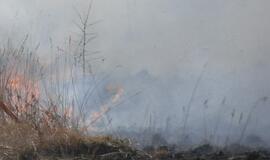 Latviją jau niokoja žolės gaisrai