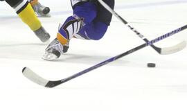 Lietuvos ledo ritulininkai Lenkiją paliko nuleidę galvas, bet išsaugojo vietą 1-ajame dvizione