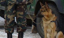 Pasieniečių šuo padėjo sulaikyti keturis nelegalus čečėnus