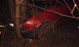 Girtas vairuotojas paliko kaimelio gyventojus be elektros