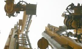 Vyriausybė pradėjo svarstyti SGD įstatymo projektą