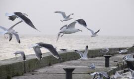 Gegužės 21-oji: vardadieniai, dangaus kūnai, istorija