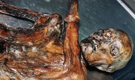 Mokslininkai: "sniego žmogaus" kraujas seniausias pasaulyje