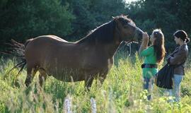 Nemalonus incidentas: arklys nukando mergaitei ausį