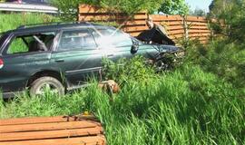 Avariją sukėlė agresyvus pudelis