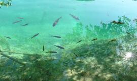 Kroatija: graži, atsipalaidavusi ir svetinga