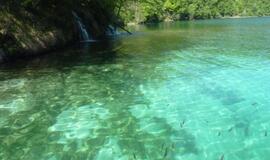 Kroatija: graži, atsipalaidavusi ir svetinga