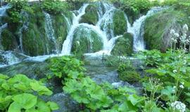 Kroatija: graži, atsipalaidavusi ir svetinga