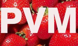 Siūloma taikyti PVM lengvatą maisto produktams