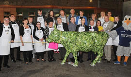 Ventspilį užplūs spalvingų karvių banda