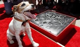 Holivude įamžintas filme &quot;Artistas&quot; vaidinęs šuo