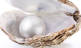 JAE rastas seniausias pasaulyje perlas