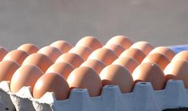 Kiaušinių daužymo čempionate grumiasi dalyviai iš viso pasaulio