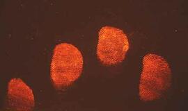 Paryžiuje rasti du kūnai nukirstomis galvomis