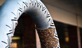 Pasaulinėje parodoje EXPO 2012 - Lietuvos nacionalinė diena