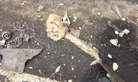 Partrenkta nėščioji, kovojama dėl jos kūdikio gyvybės