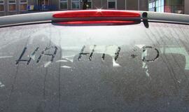 Anksti pradėjo savaitgalį - girtas padarė avariją