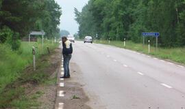 Briedis "nuvertė" vilkiką į griovį