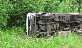 Briedis "nuvertė" vilkiką į griovį