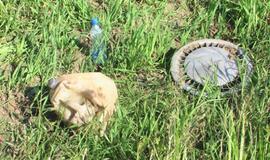 Vargana vairavimo patirtis nuvedė į griovį