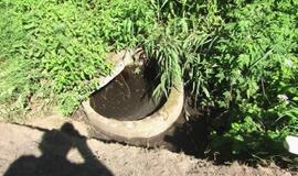 Lenko kelionė baigėsi kelyje į Palangą