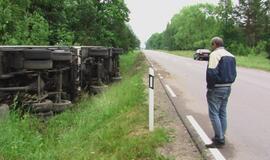 Briedis "nuvertė" vilkiką į griovį