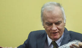 Hagoje tęsiamas Ratko Mladičiaus bylos nagrinėjimas