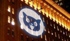 Interneto gynėjai įžiebs milžiniškus katės signalus