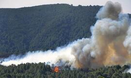 Kanarų salose siautėja nekontroliuojami miškų gaisrai