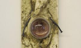 Tarptautinė Baltijos šalių keramikos paroda "Pavasaris 2012"